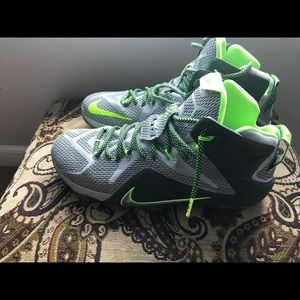 Men’s Lebron James shoes size 11